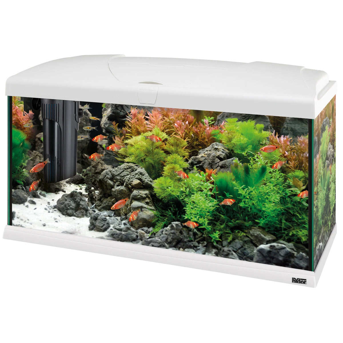 CAPRI 80 LED PLUS Acquario da 100 Litri – Illuminazione LED Avanzata e Sistema di Filtrazione BluWave(Bianco)